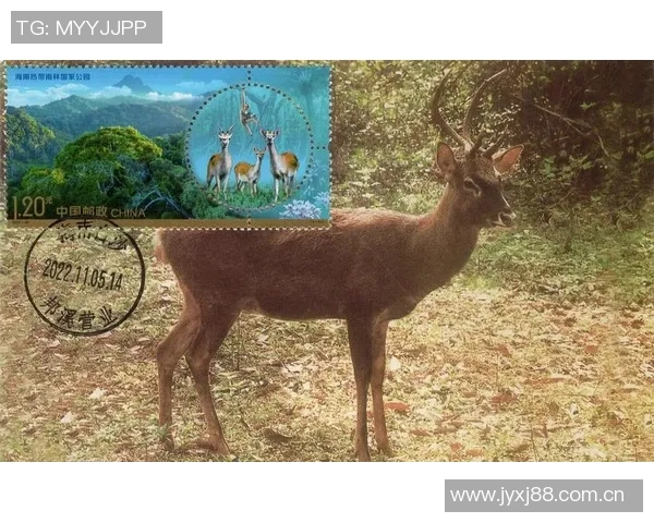 记者分析无字鹿获胜背后的深远意义彰显雄鹿实力不容忽视